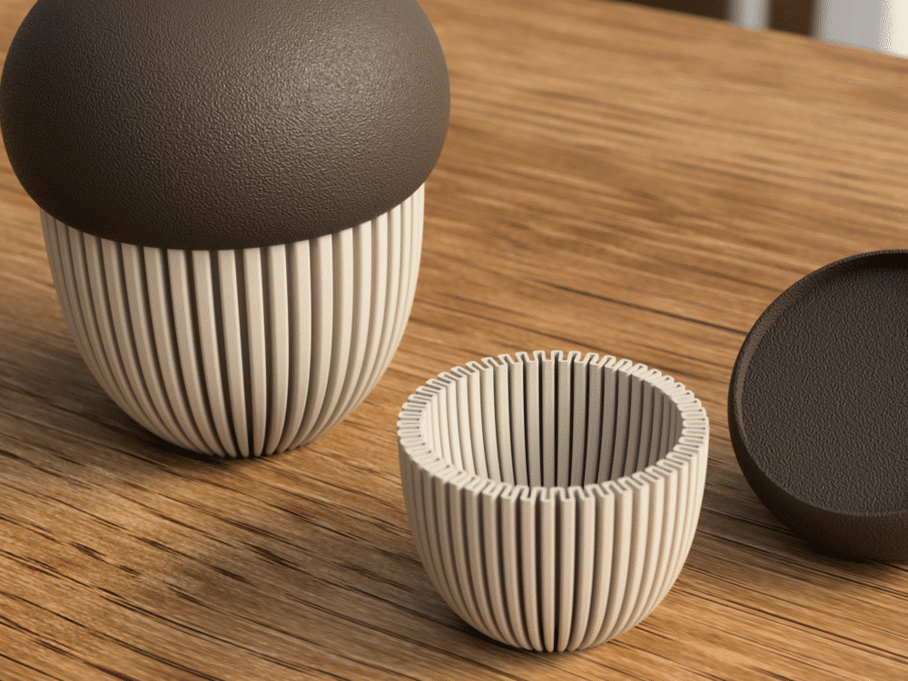 Acorn 05